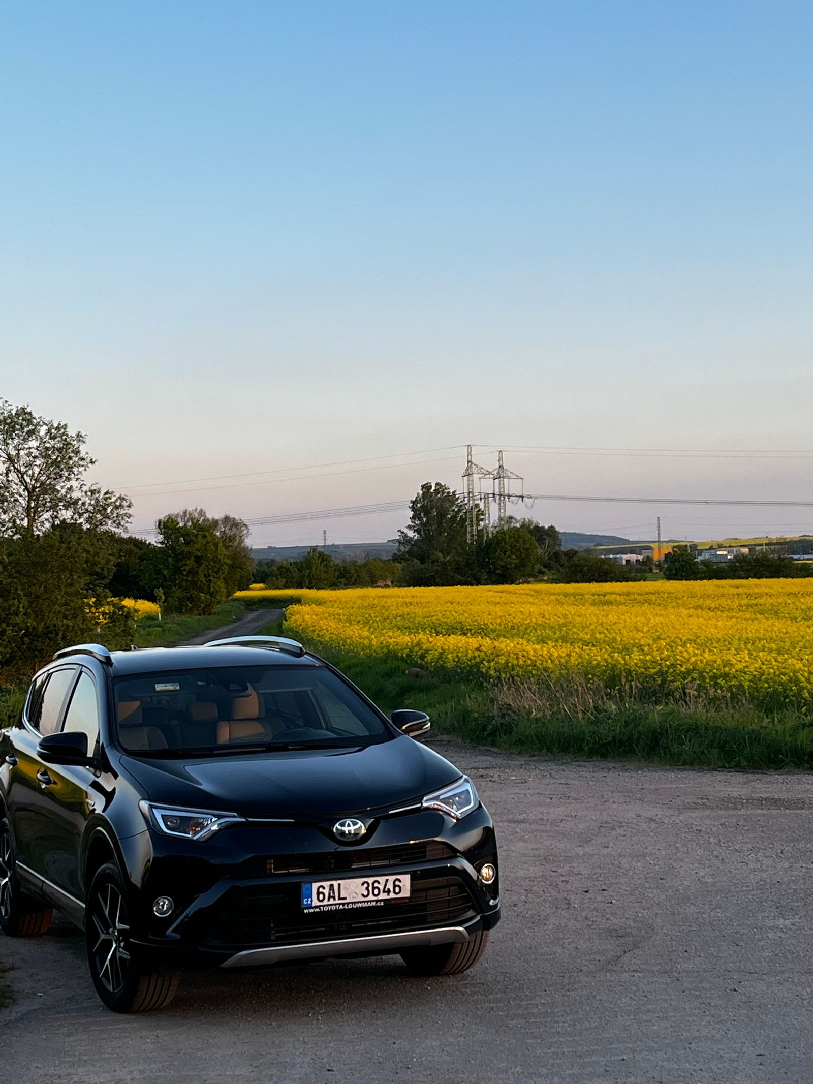 Black SUV parked by a yellow field